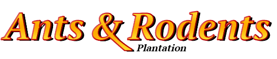 Plantation Ant Exterminator & Rodent Control Company Logo